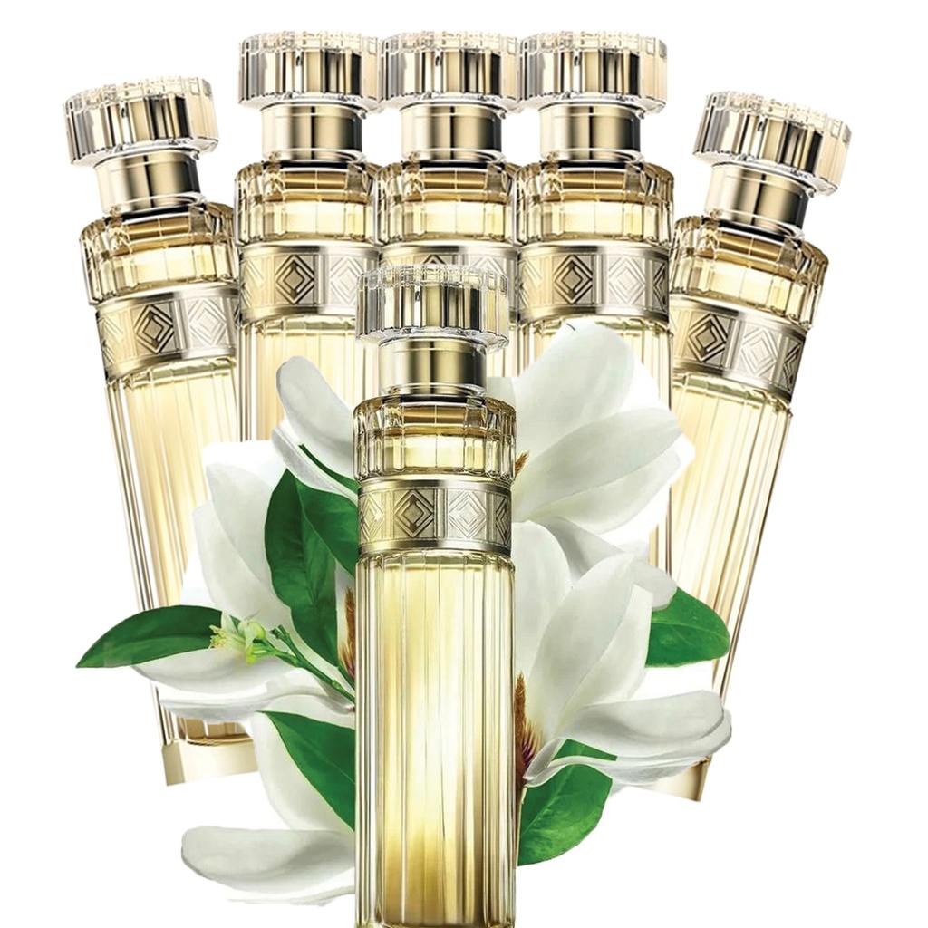 star offer Premiere Luxe C12 2025 