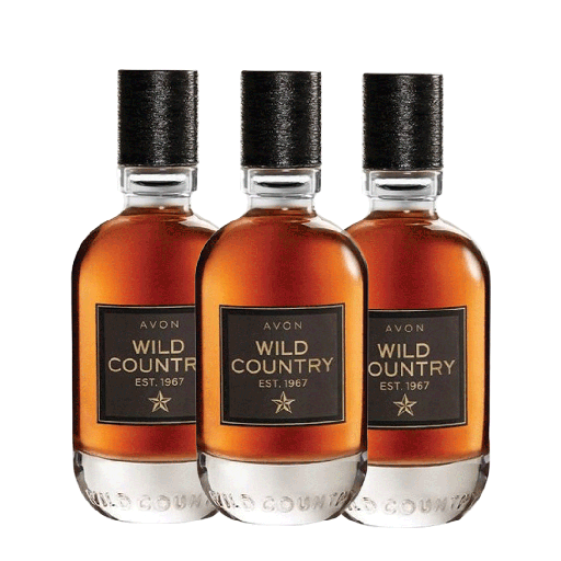[4076] Pack offer WILD COUNTRY  C07 2025